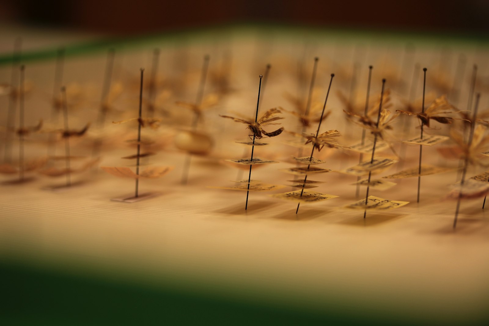 Dry needling vs akupunktúra — kompletný rozdiel a kedy ktorú
